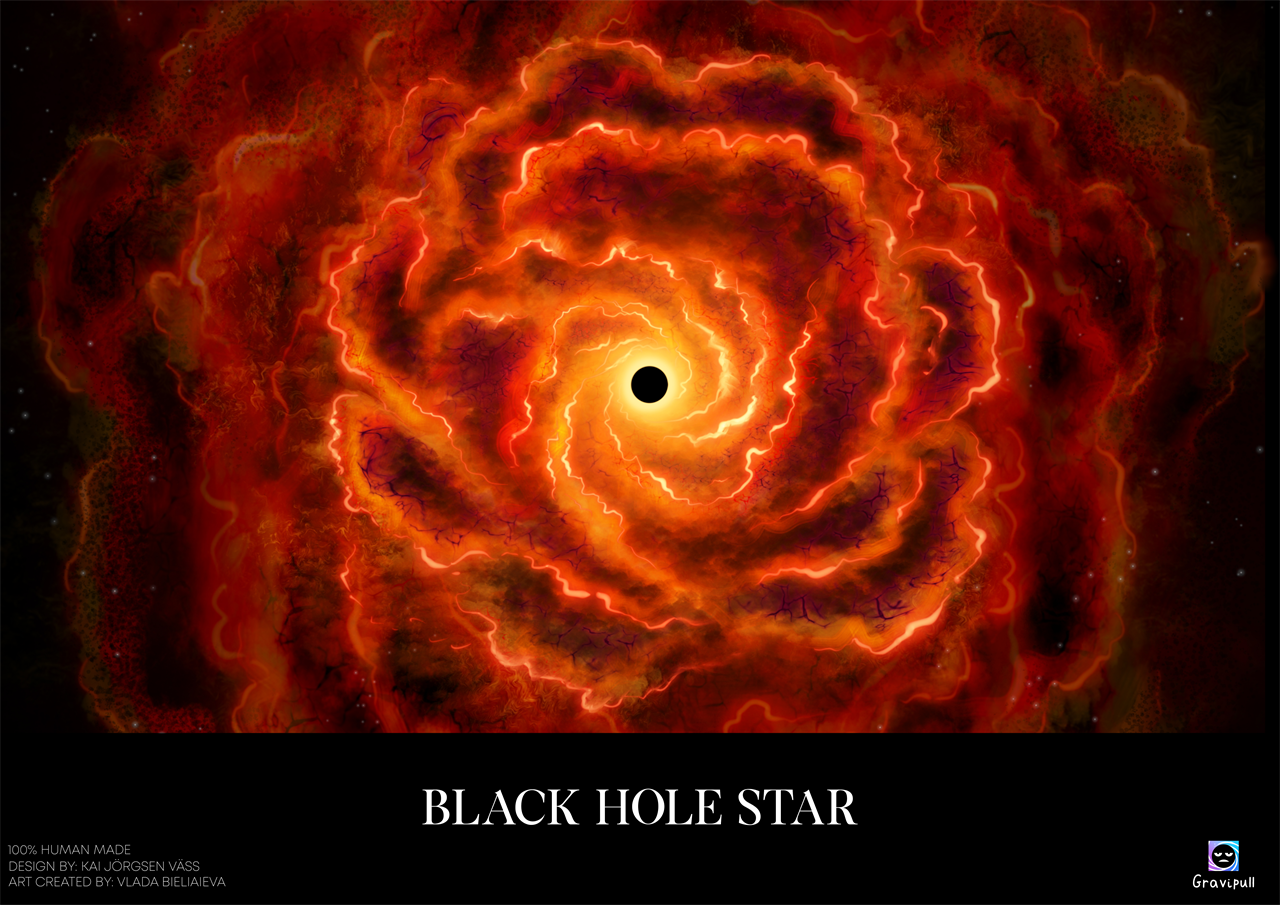 Black Hole Star